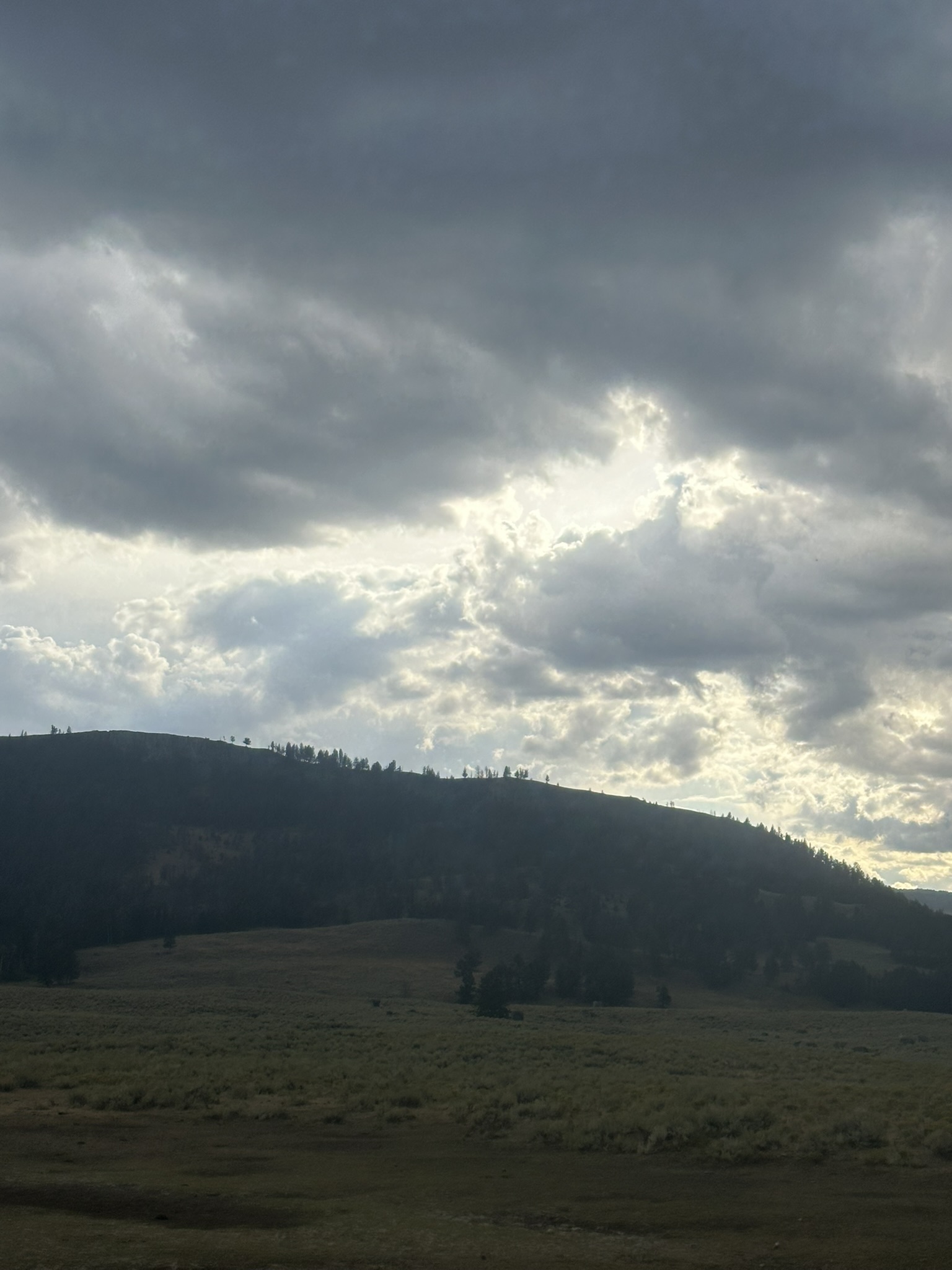 Yellowstone And Grand Teton National Parks - Image 1086